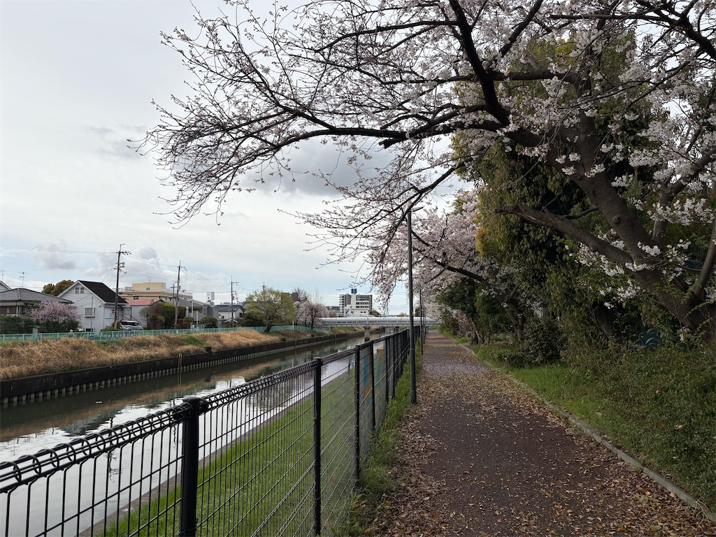 f:id:AMATA:20260503173536j:image