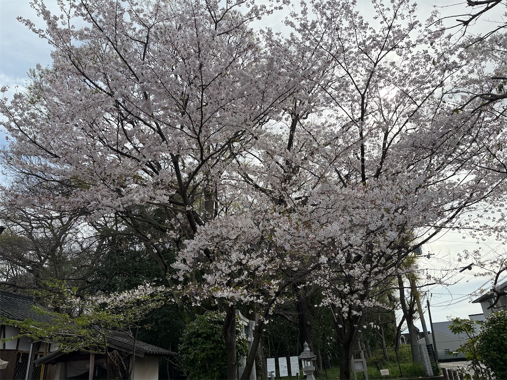 f:id:AMATA:20260503173550j:image