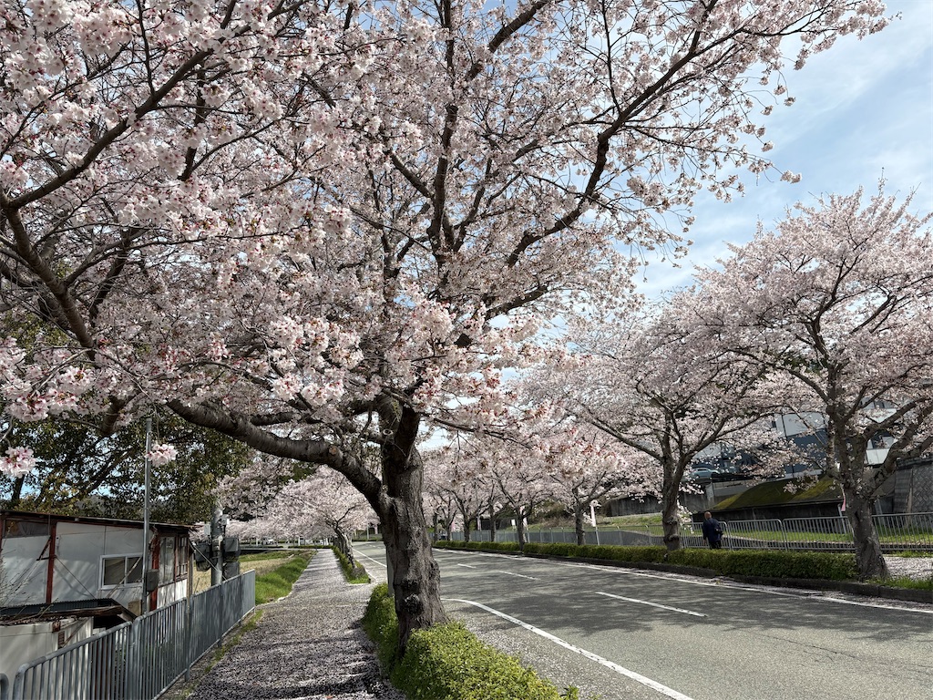 f:id:AMATA:20260503173558j:image