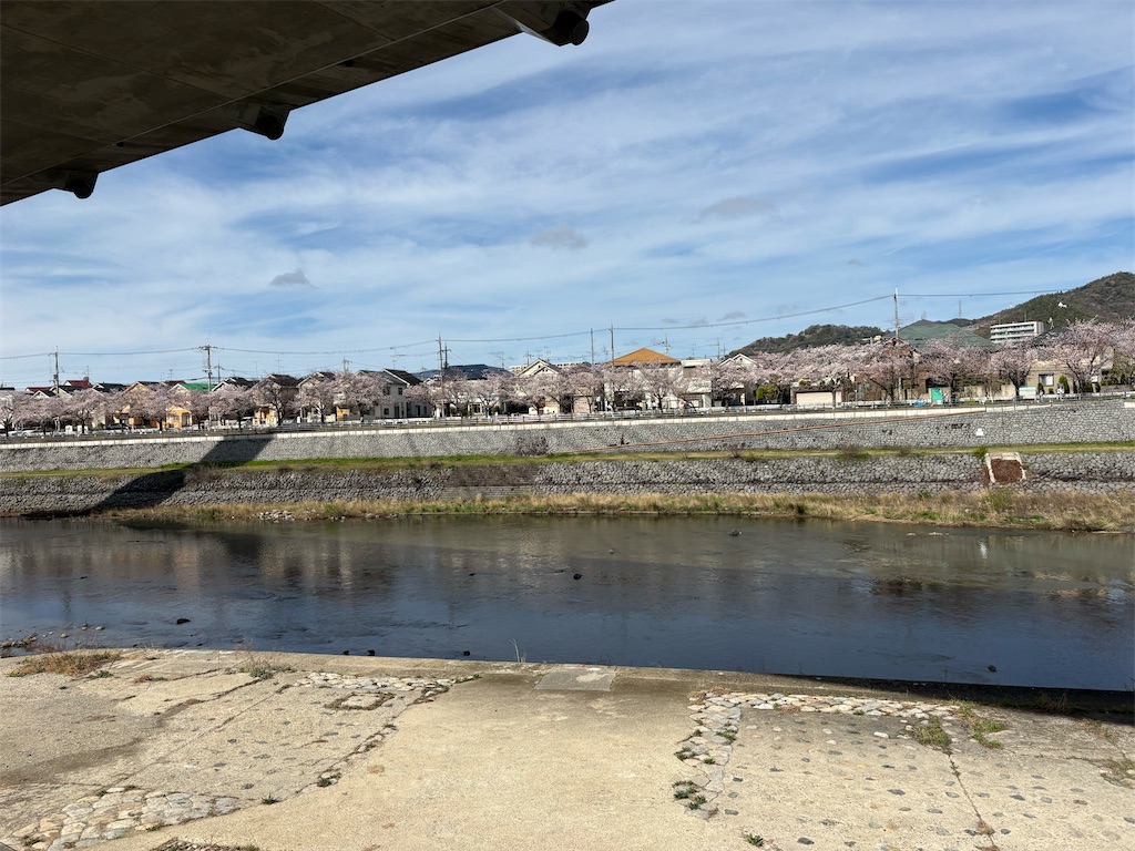 f:id:AMATA:20260503173629j:image