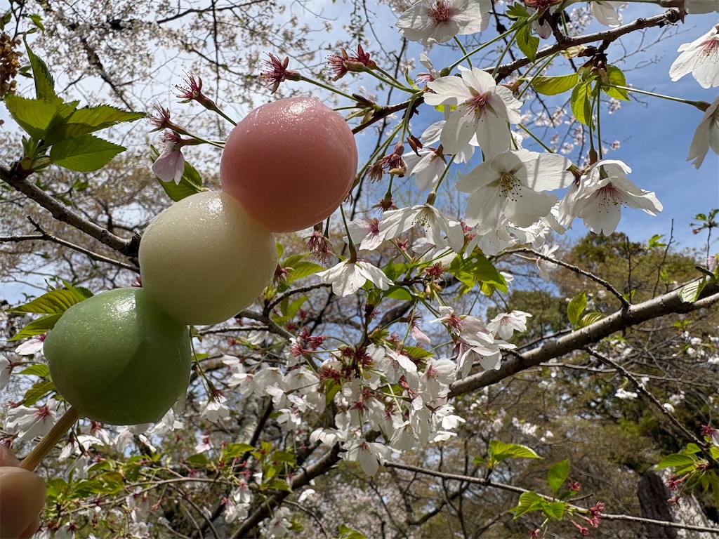 f:id:AMATA:20260503173631j:image
