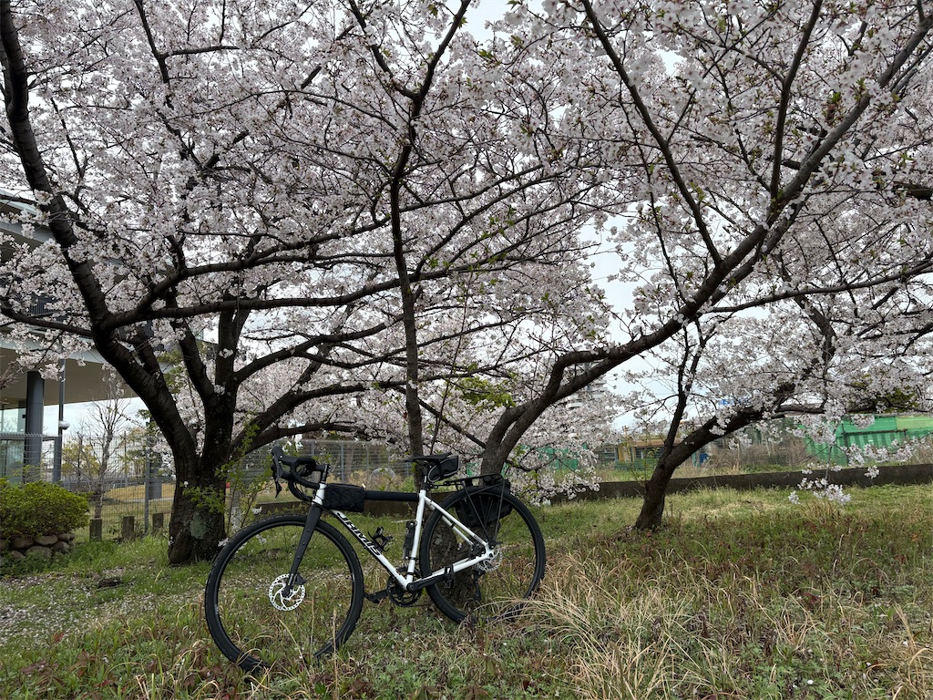 f:id:AMATA:20260503173641j:image