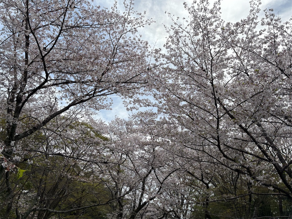 f:id:AMATA:20260503173653j:image