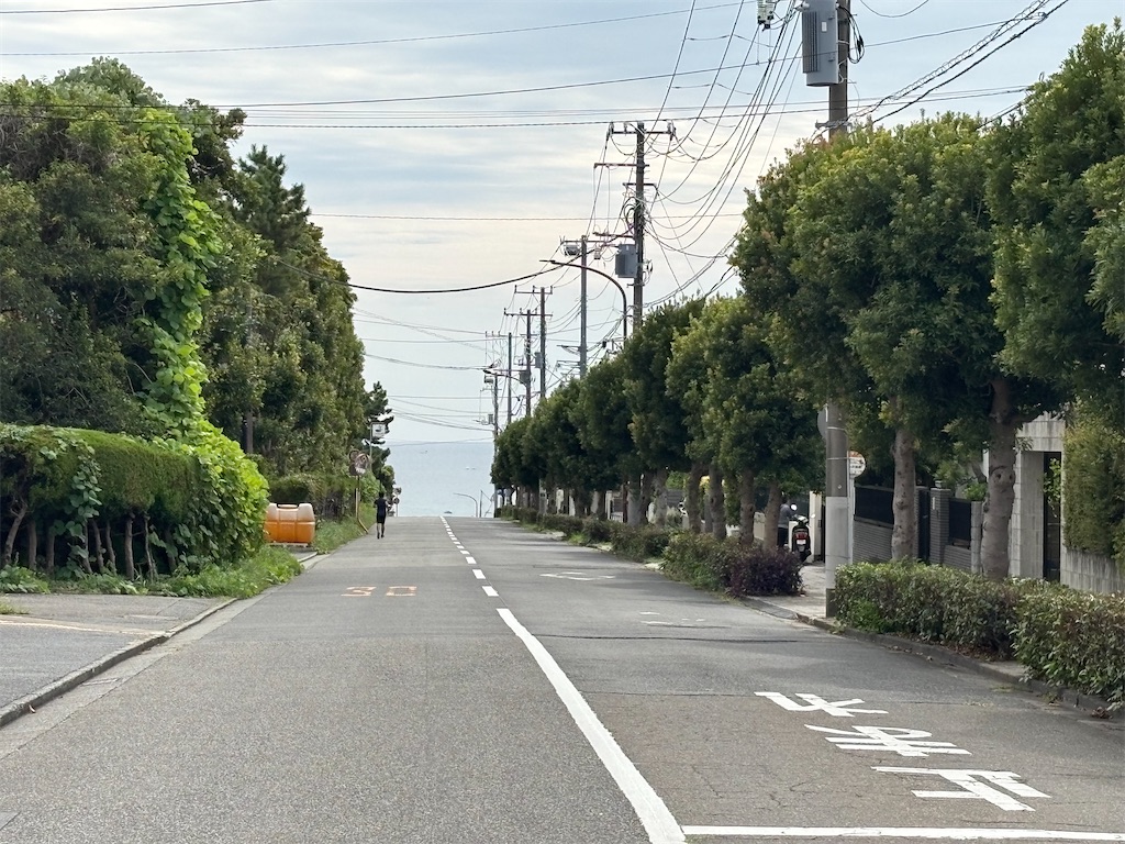 f:id:AMATSUN:20251114215319j:image f:id:AMATSUN:20251114215319j:image