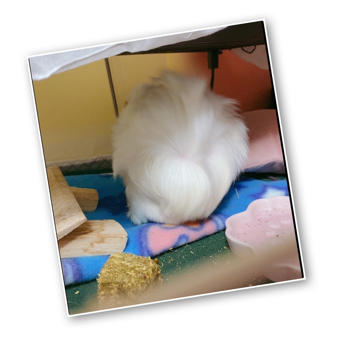 f:id:AMOamo:20200930154036j:plain