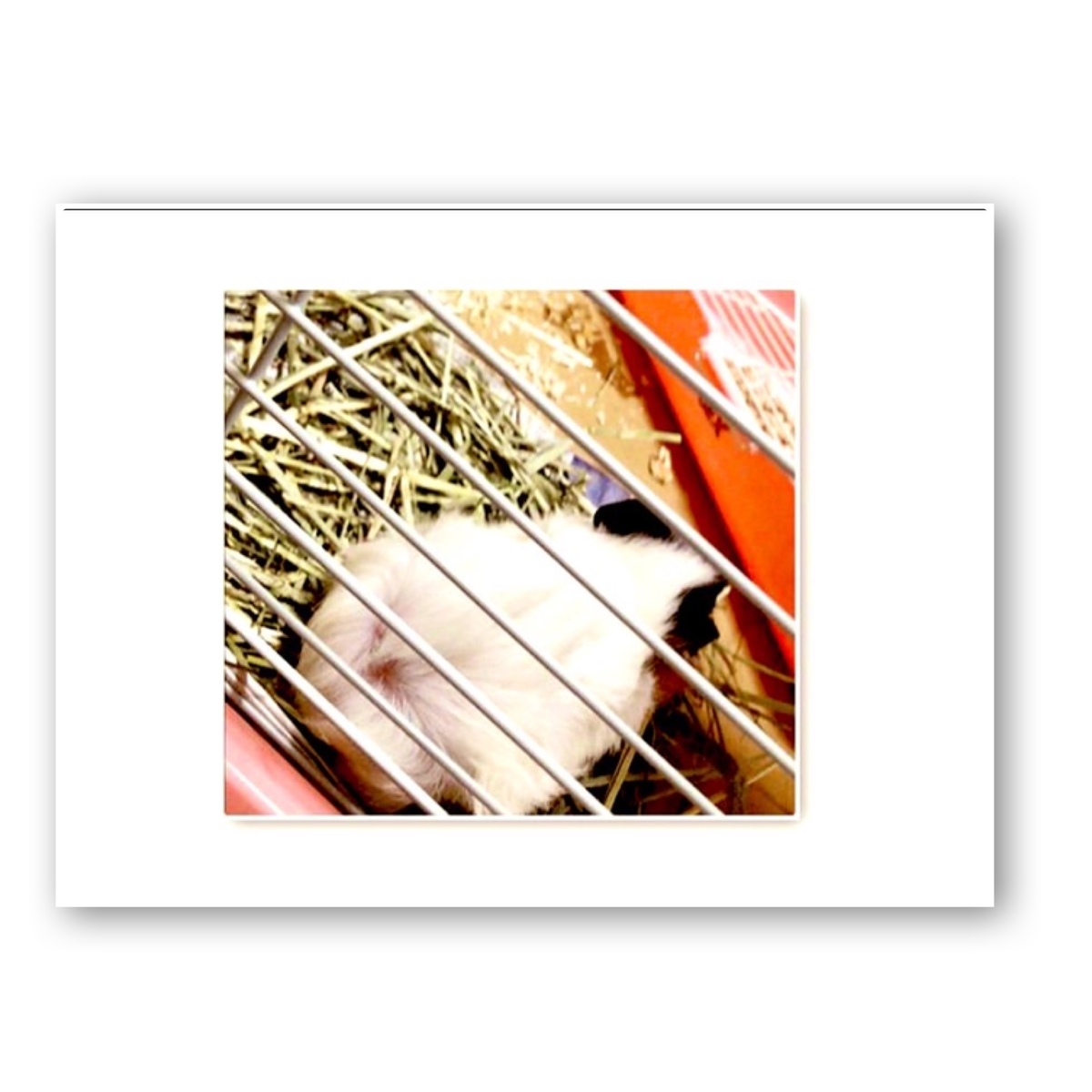f:id:AMOamo:20200930160457j:plain