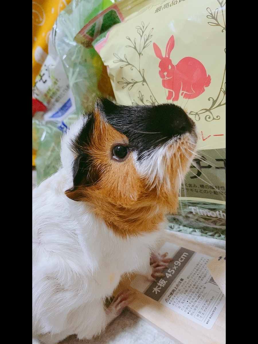 f:id:AMOamo:20201007144848j:plain