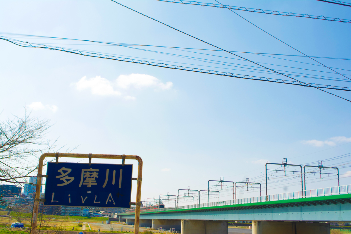f:id:ANGLECAT:20190411194145j:plain f:id:ANGLECAT:20190411194145j:plain