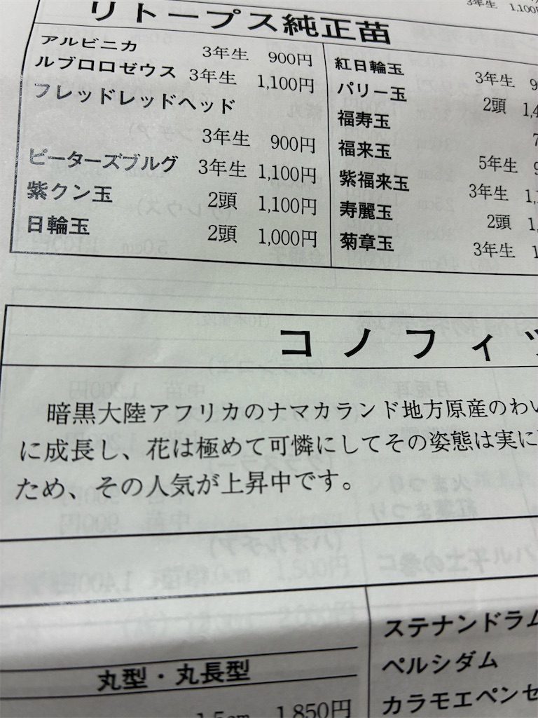 f:id:ANTONIOIGAKI:20260602082002j:image