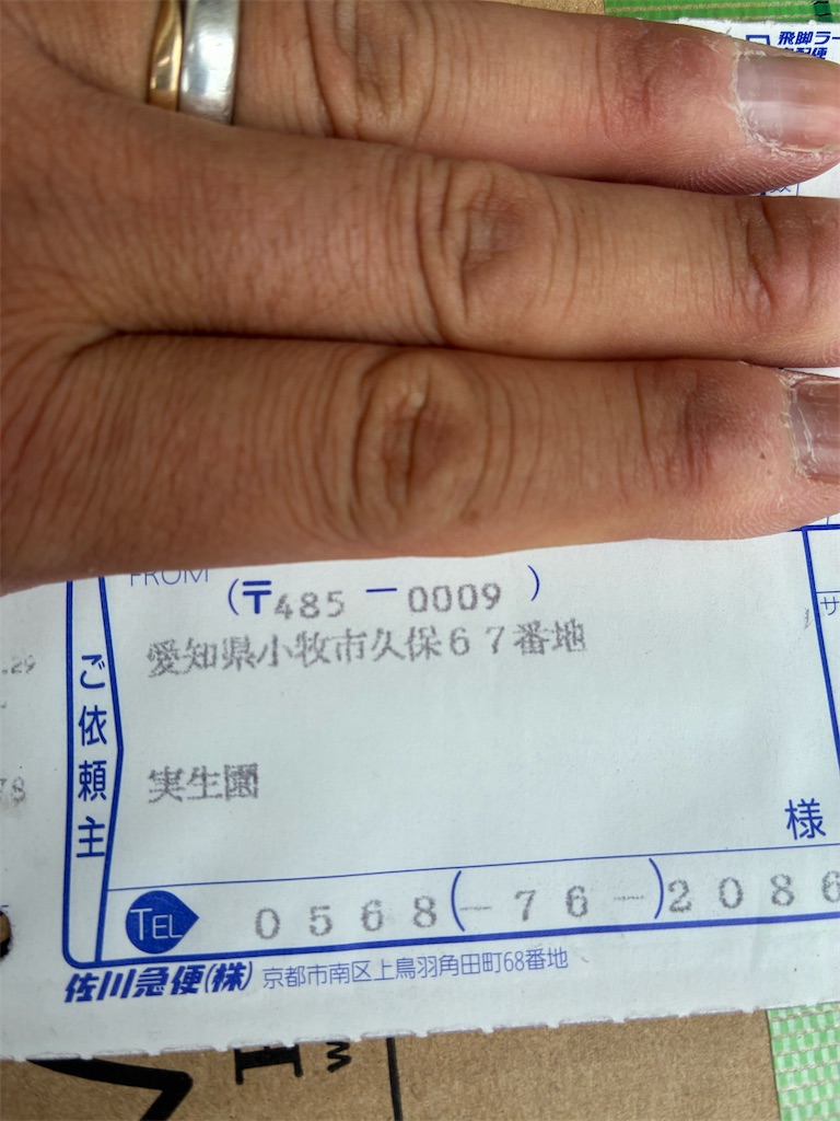 f:id:ANTONIOIGAKI:20260602082846j:image