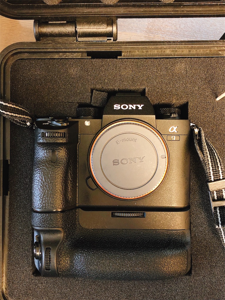 f:id:ANZUNIKI:20200815111847j:image