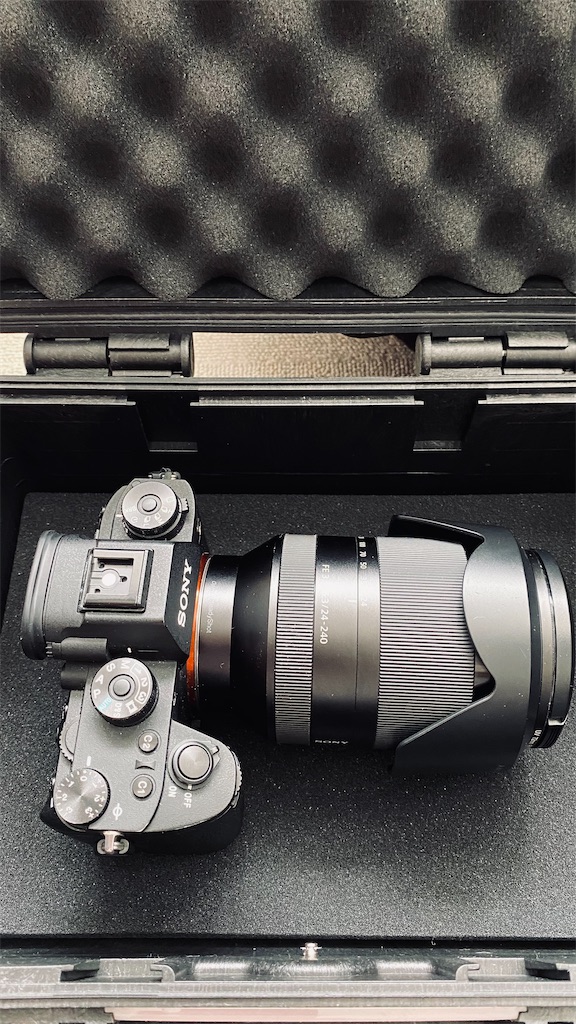 f:id:ANZUNIKI:20210627133853j:image