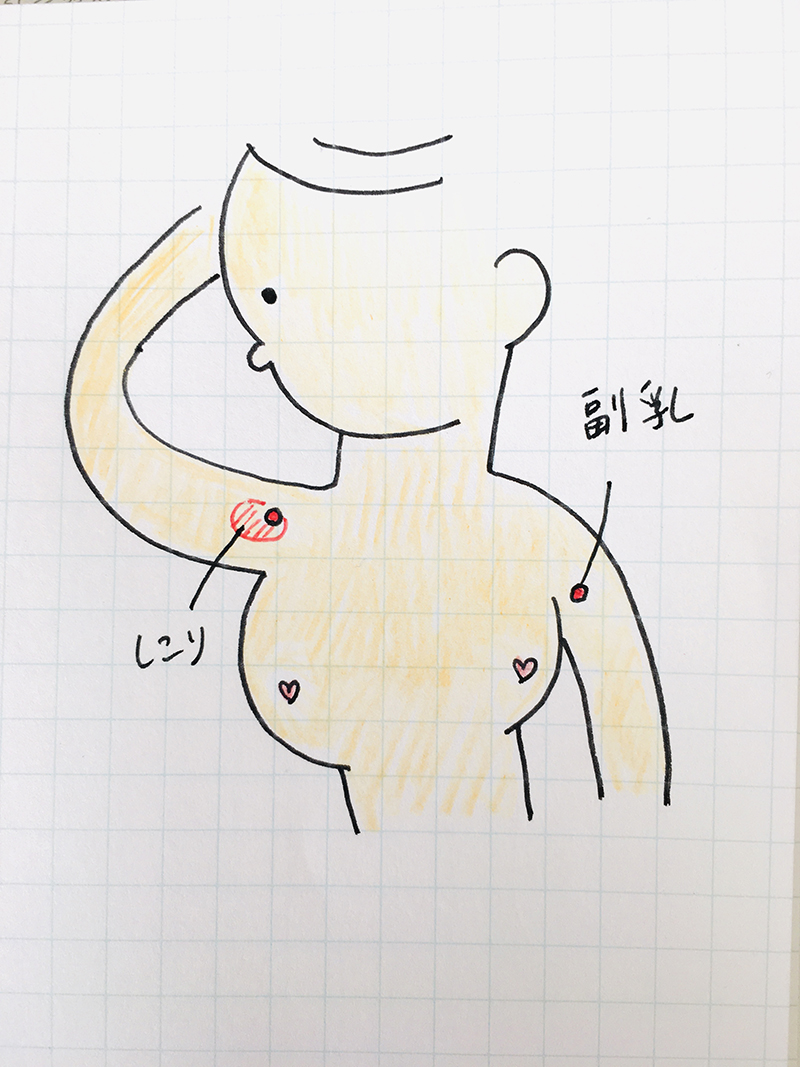 f:id:AOMIDORI:20200121094724j:plain