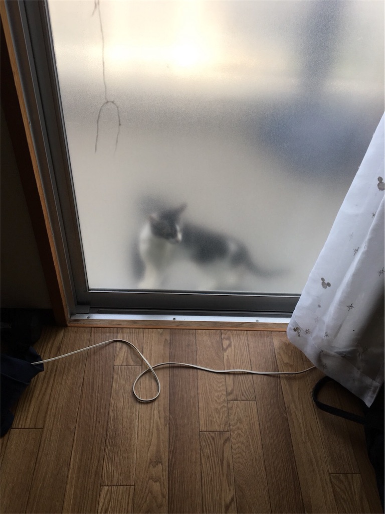 f:id:AOSUNS-BanhMi:20180805130321j:image