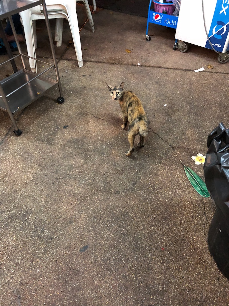 f:id:AOSUNS-BanhMi:20190203024717j:image