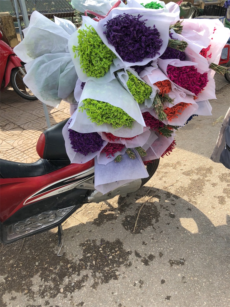 f:id:AOSUNS-BanhMi:20190322005616j:image