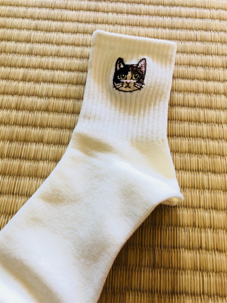 f:id:AOSUNS-BanhMi:20190422235634j:image