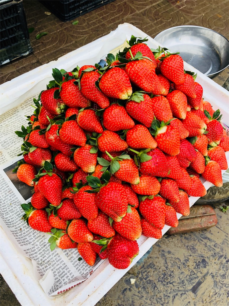 f:id:AOSUNS-BanhMi:20190503002640j:image
