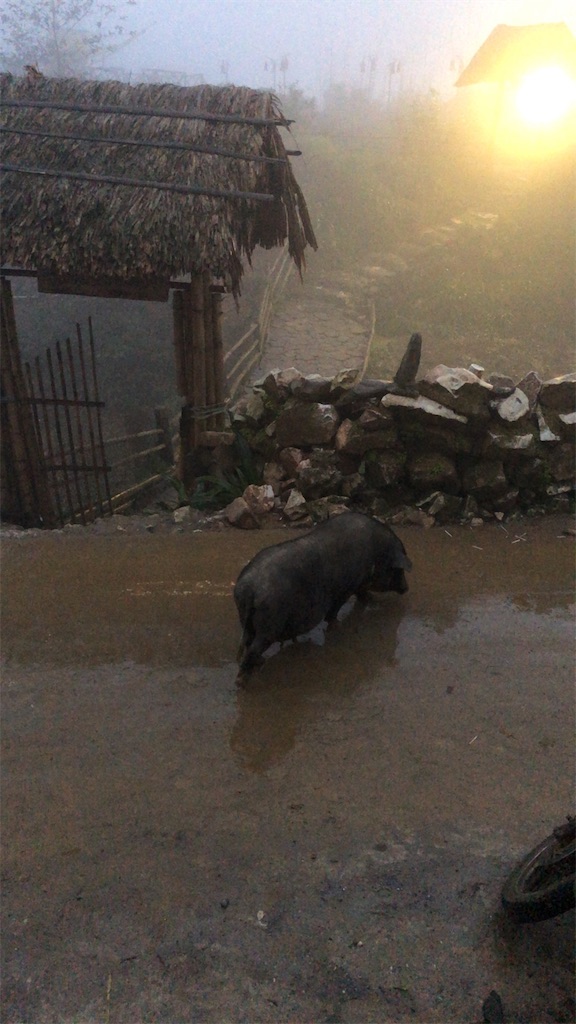 f:id:AOSUNS-BanhMi:20190503002856j:image