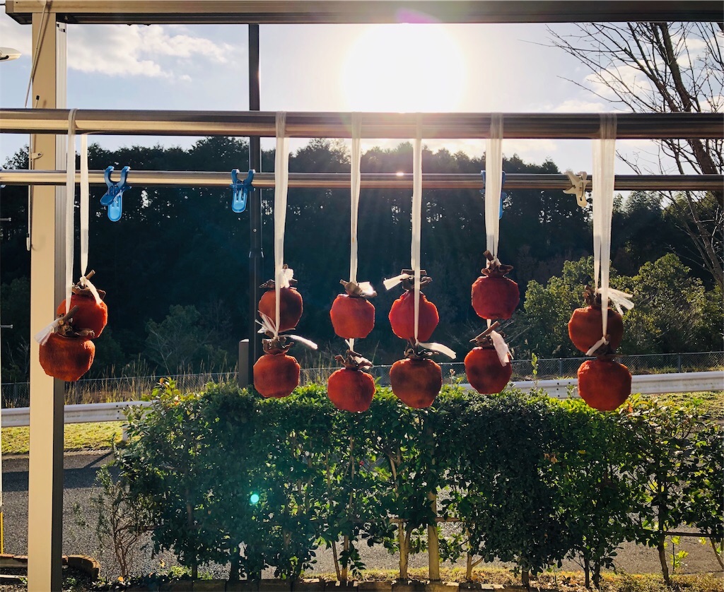 f:id:APwakuwakukosodate:20190108153751j:image