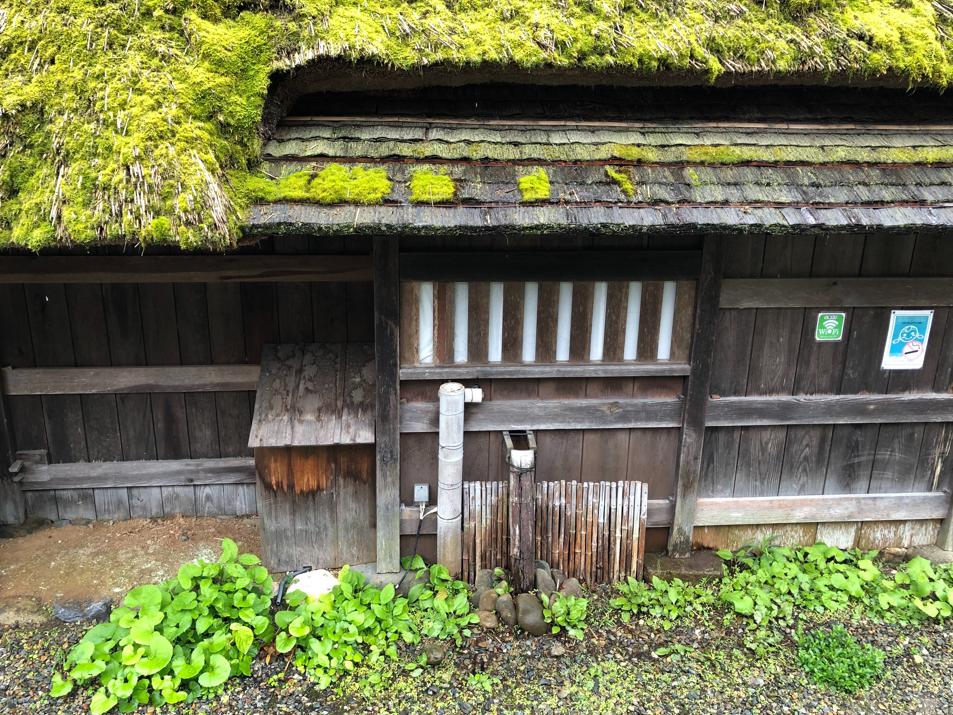 f:id:APwakuwakukosodate:20190503060944j:image f:id:APwakuwakukosodate:20190503060944j:image