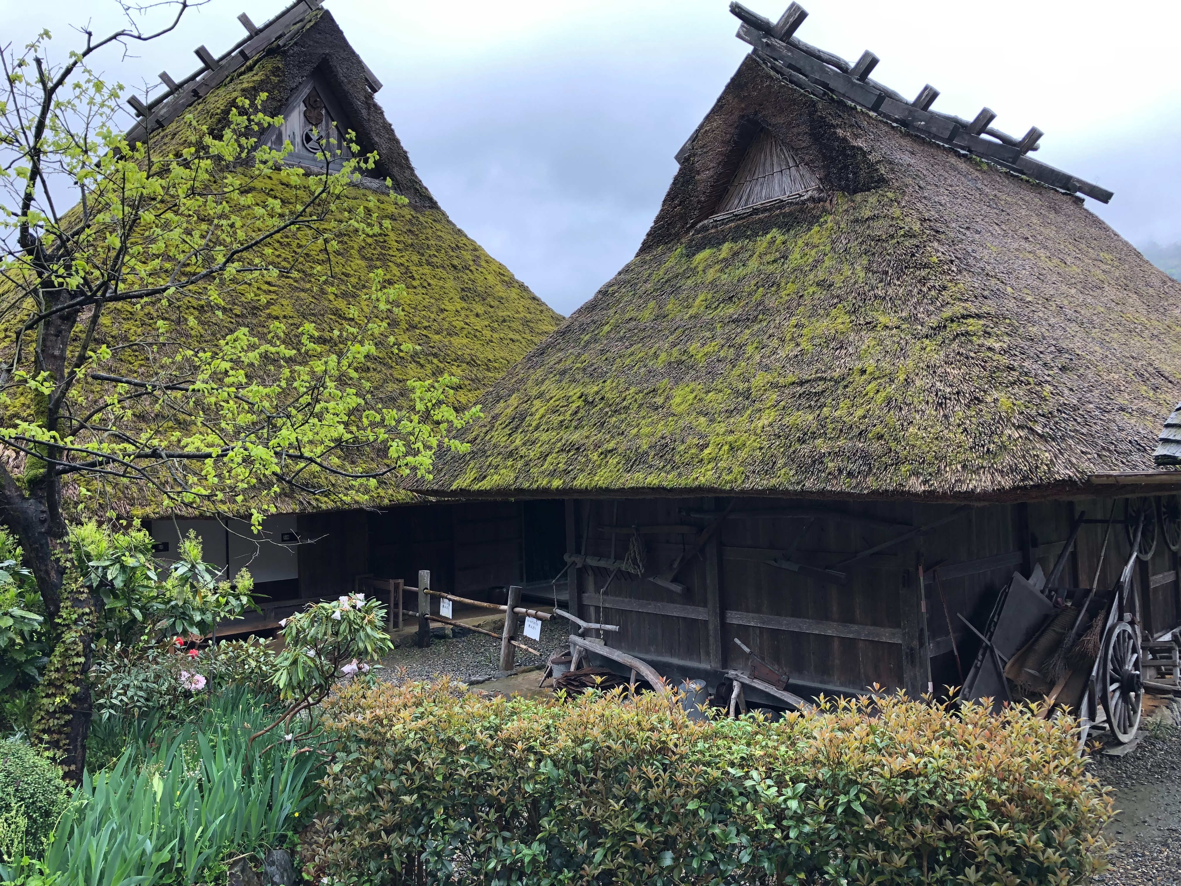 f:id:APwakuwakukosodate:20190503061006j:image f:id:APwakuwakukosodate:20190503061006j:image