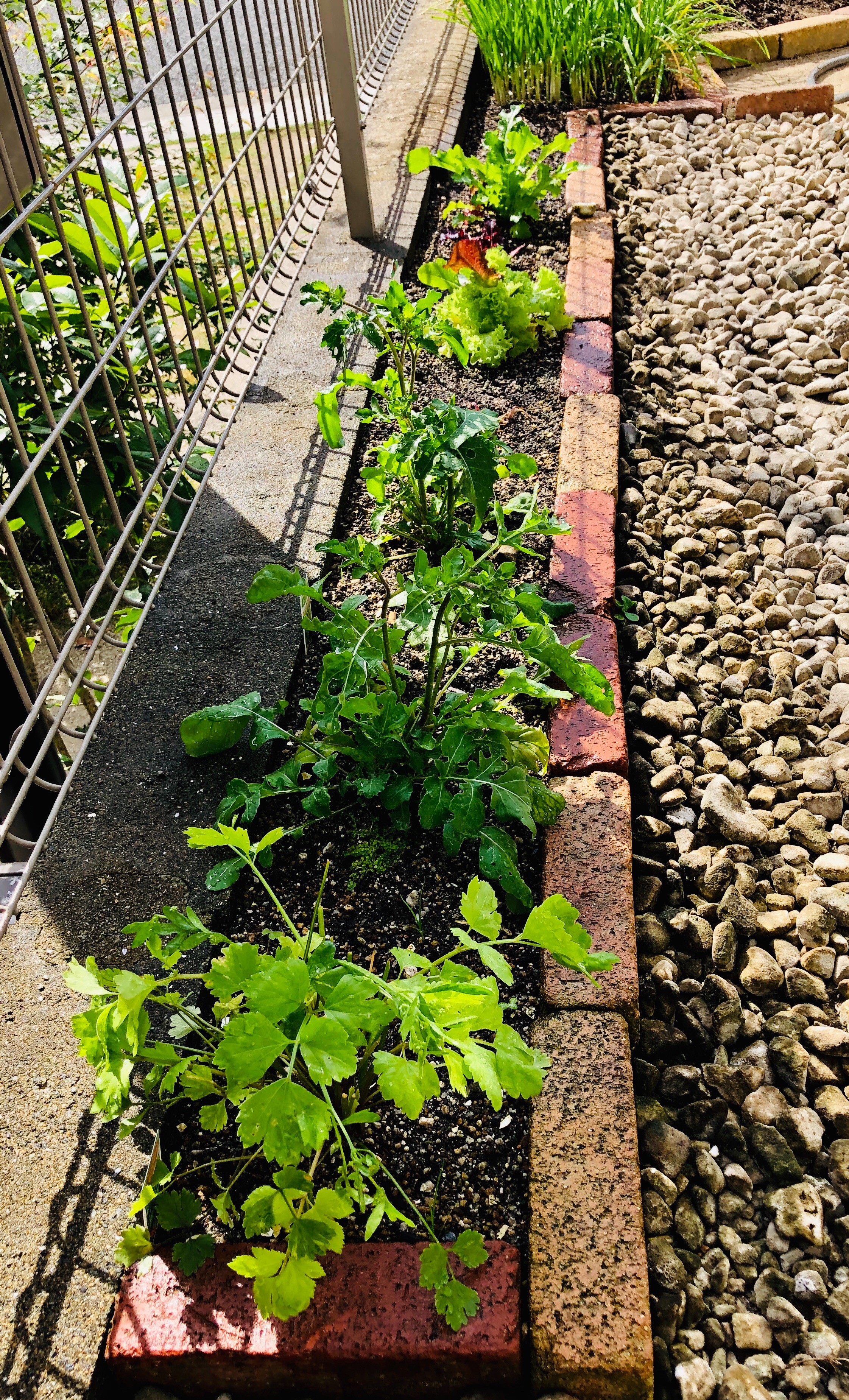 f:id:APwakuwakukosodate:20190518163525j:image f:id:APwakuwakukosodate:20190518163525j:image