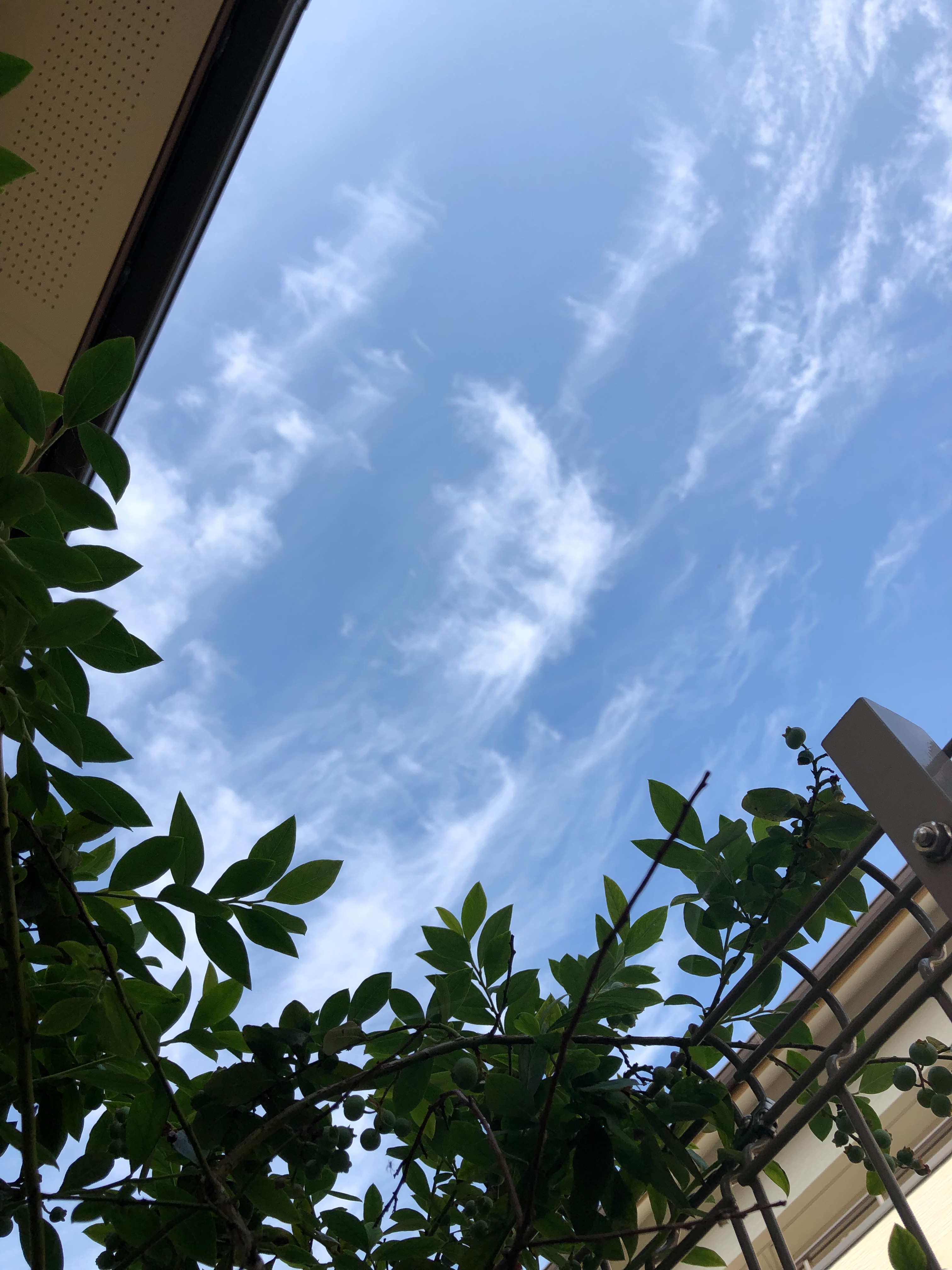 f:id:APwakuwakukosodate:20190606094614j:image f:id:APwakuwakukosodate:20190606094614j:image