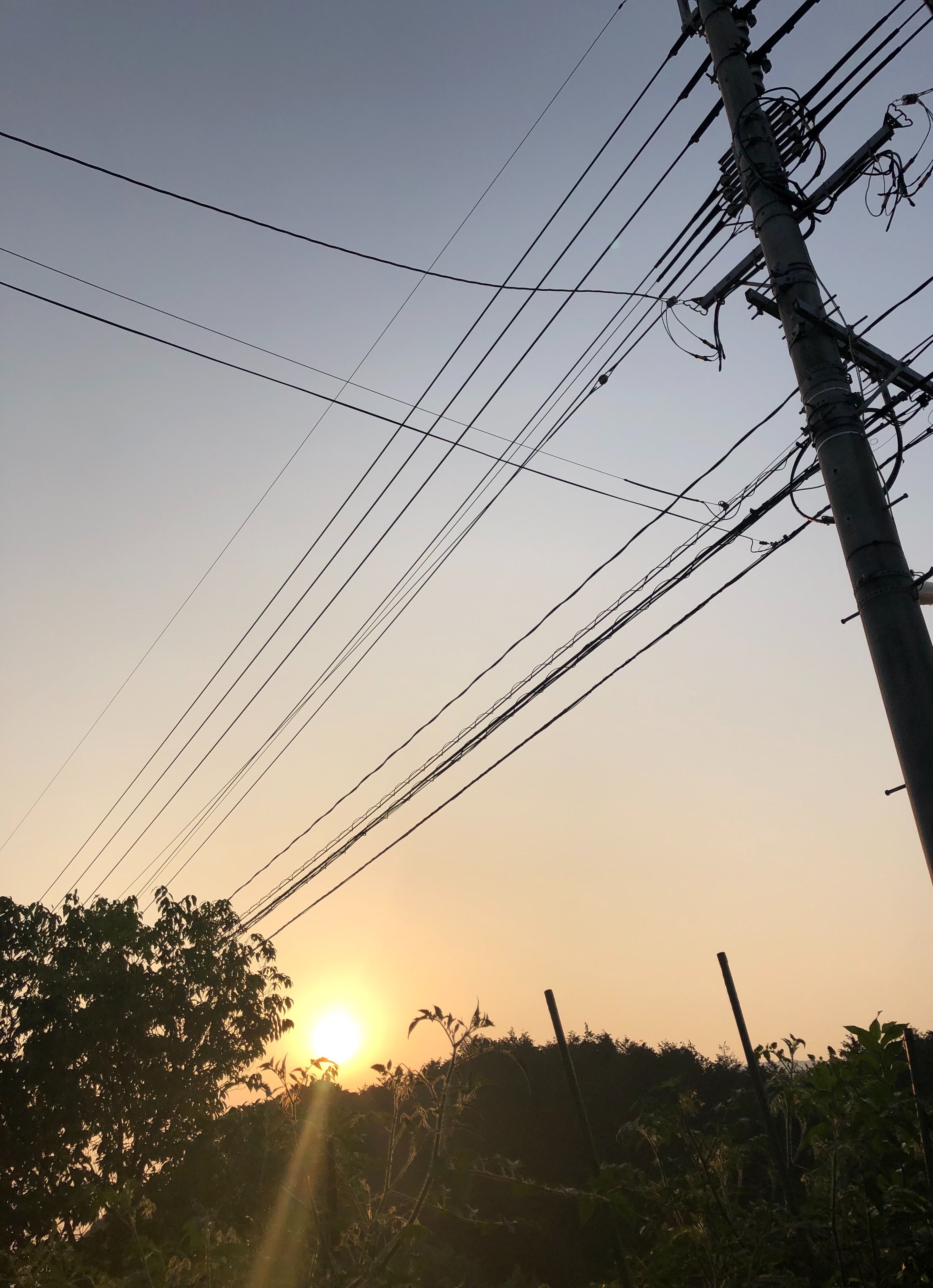 f:id:APwakuwakukosodate:20190606094628j:image f:id:APwakuwakukosodate:20190606094628j:image