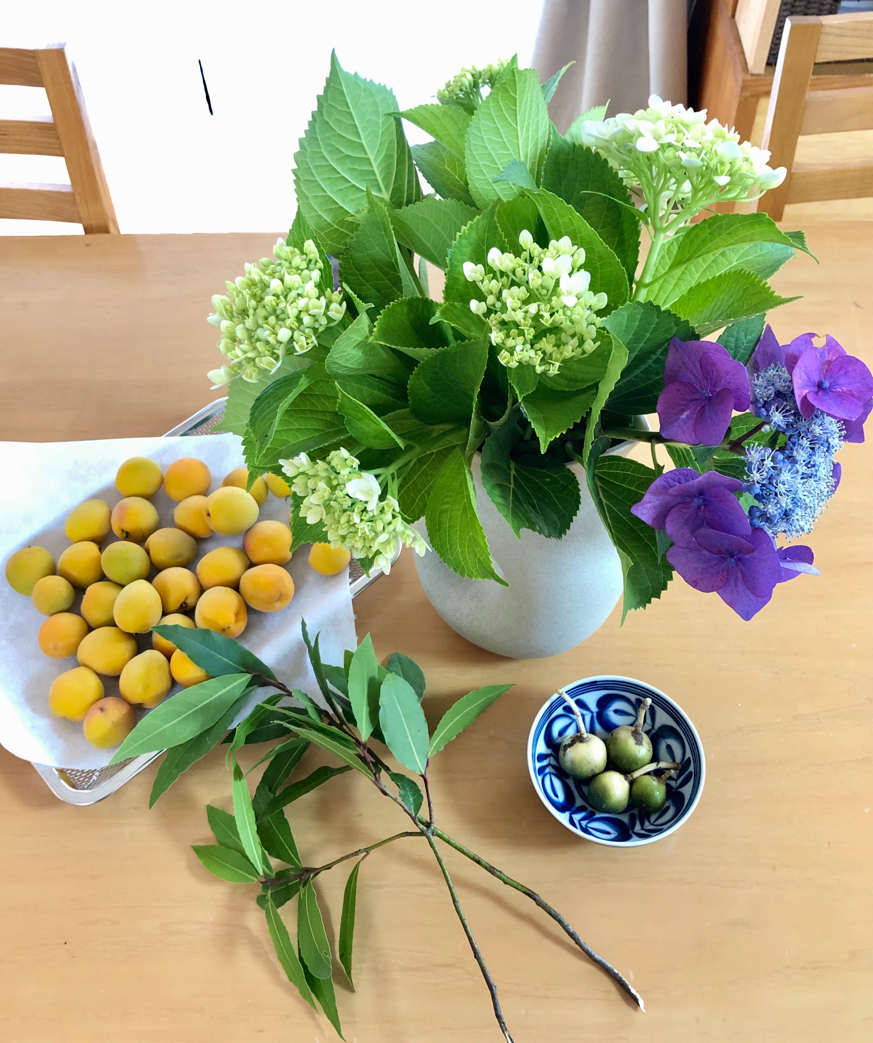 f:id:APwakuwakukosodate:20190611174108j:image f:id:APwakuwakukosodate:20190611174108j:image
