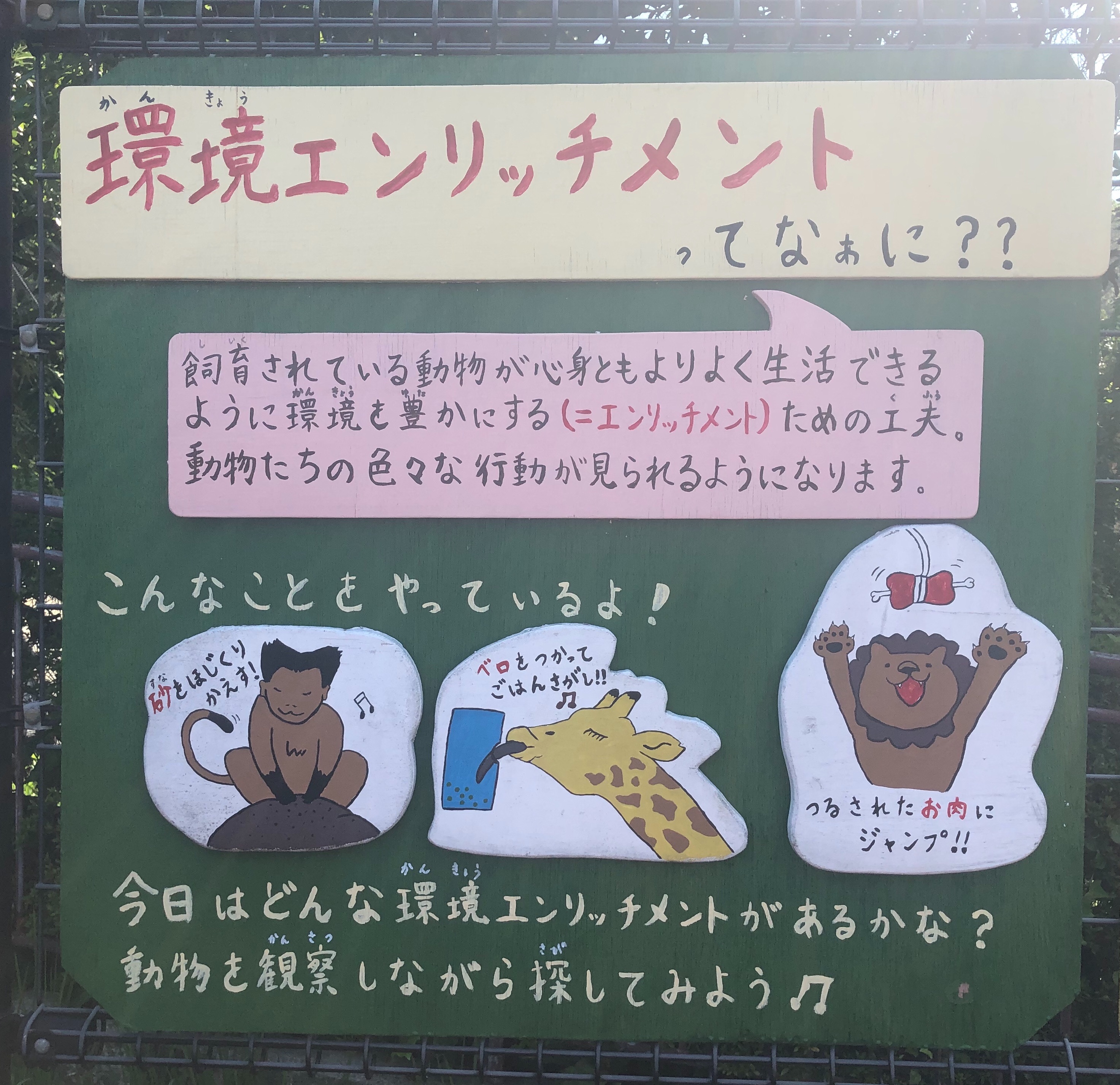 f:id:APwakuwakukosodate:20190805164256j:image f:id:APwakuwakukosodate:20190805164256j:image