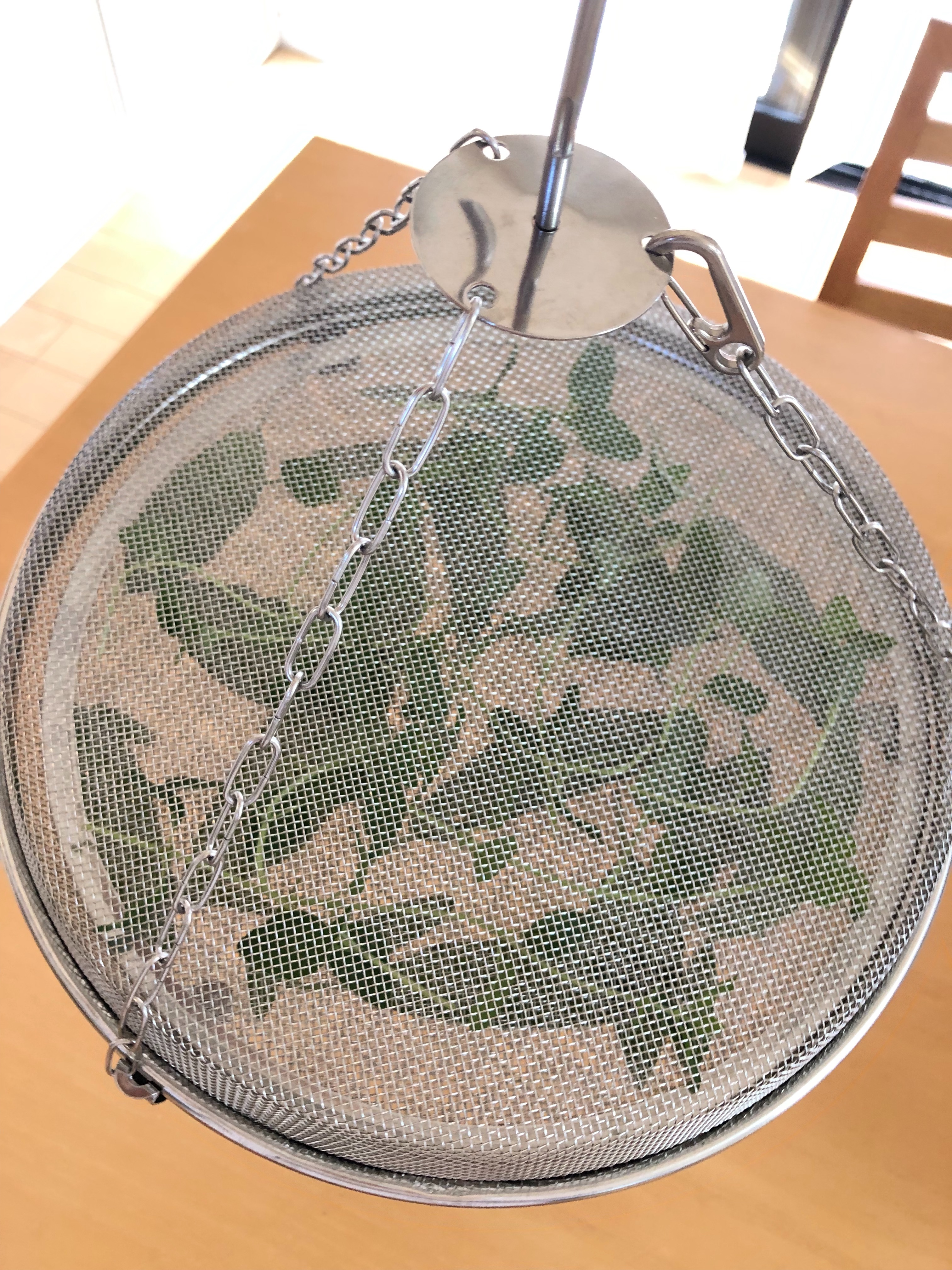 f:id:APwakuwakukosodate:20190806070823j:image f:id:APwakuwakukosodate:20190806070823j:image