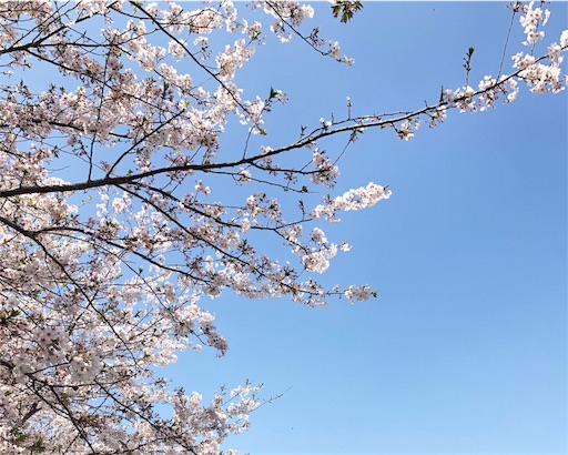 f:id:APwakuwakukosodate:20190910112206j:image f:id:APwakuwakukosodate:20190910112206j:image