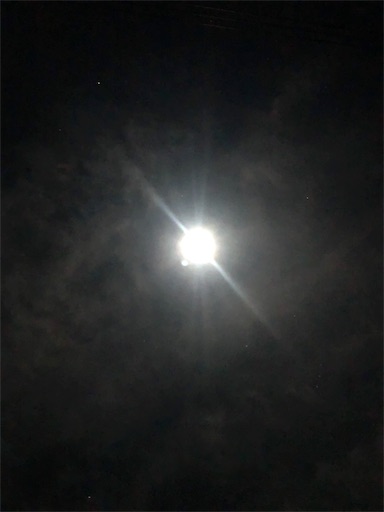 f:id:APwakuwakukosodate:20191213000657j:image f:id:APwakuwakukosodate:20191213000657j:image