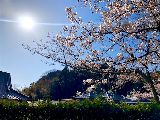 f:id:APwakuwakukosodate:20200326063524j:image f:id:APwakuwakukosodate:20200326063524j:image