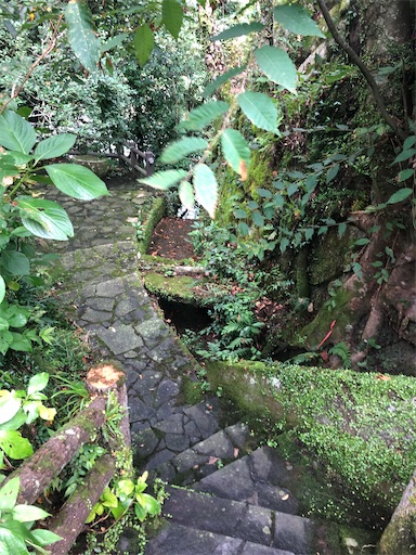 f:id:APwakuwakukosodate:20200809082006j:image