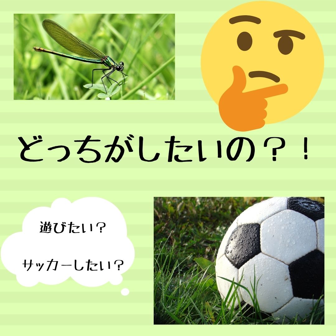 f:id:APwakuwakukosodate:20200911004908j:plain f:id:APwakuwakukosodate:20200911004908j:plain