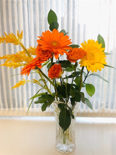 f:id:APwakuwakukosodate:20201013092924j:image