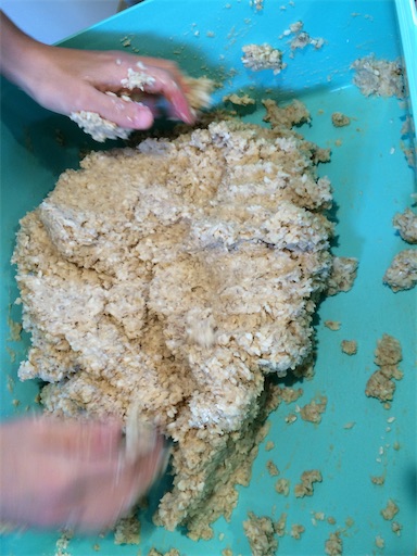 f:id:APwakuwakukosodate:20201029003848j:image f:id:APwakuwakukosodate:20201029003848j:image