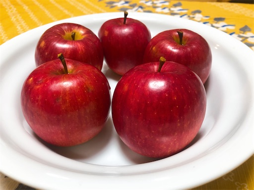f:id:APwakuwakukosodate:20201222012254j:image