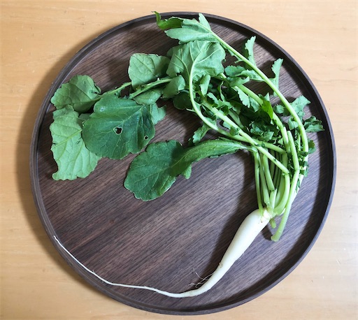 f:id:APwakuwakukosodate:20201224141425j:image