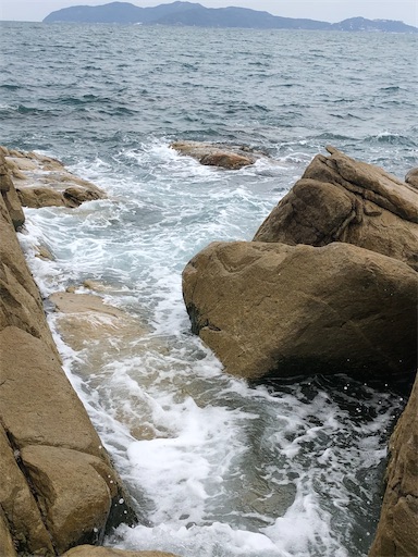 f:id:APwakuwakukosodate:20210106072759j:image f:id:APwakuwakukosodate:20210106072759j:image