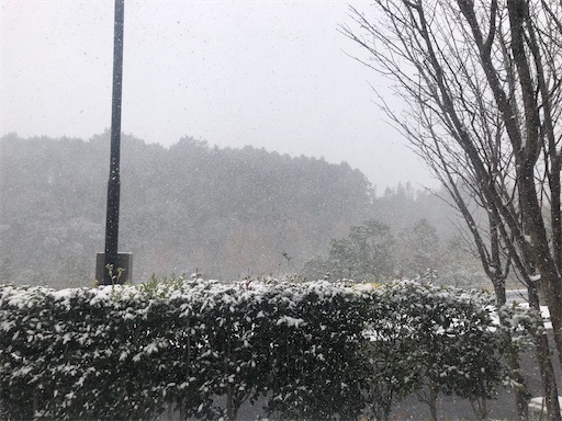 f:id:APwakuwakukosodate:20210108125511j:image f:id:APwakuwakukosodate:20210108125511j:image