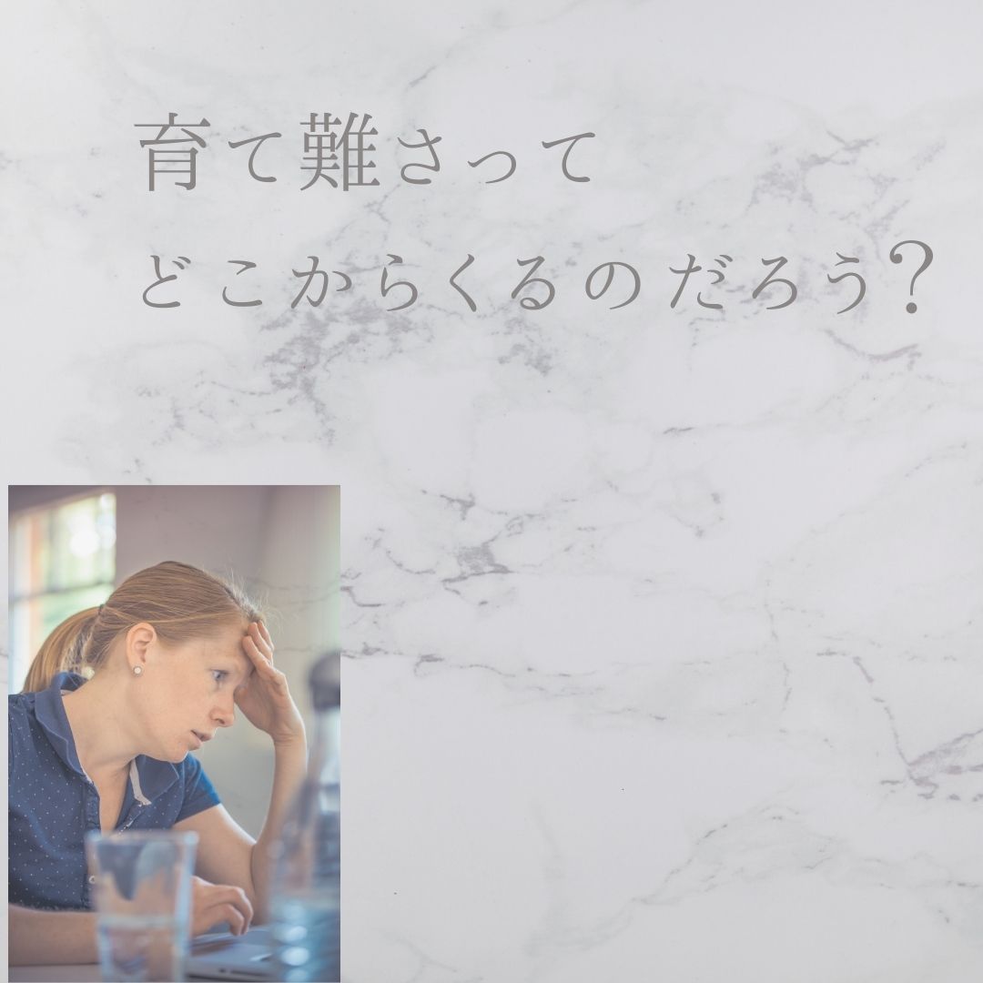 f:id:APwakuwakukosodate:20210414102403j:plain