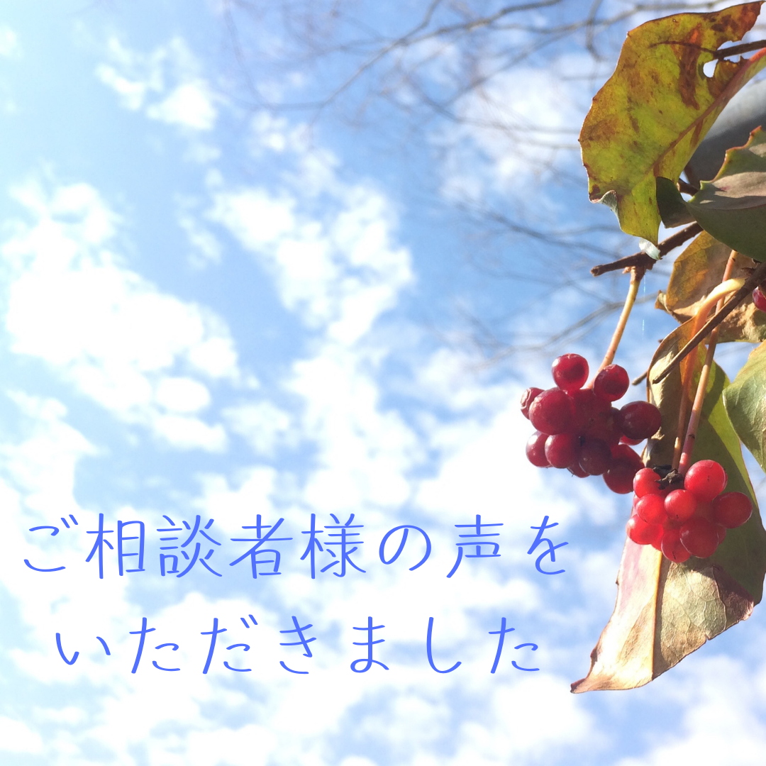 f:id:APwakuwakukosodate:20210907160659p:plain