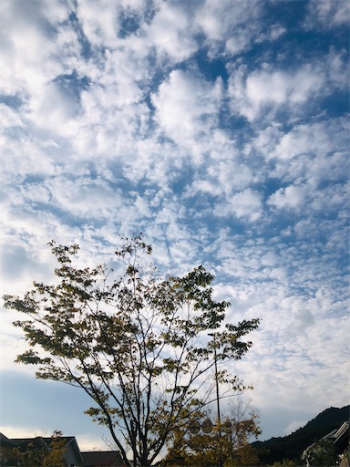 f:id:APwakuwakukosodate:20211027234319j:image