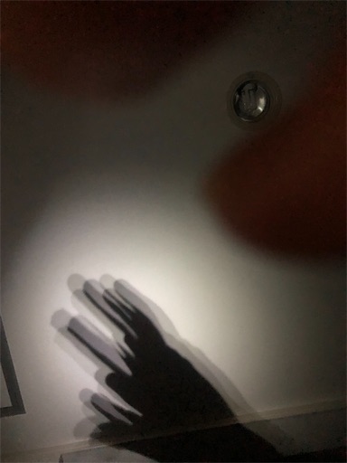 f:id:APwakuwakukosodate:20220126000233j:image f:id:APwakuwakukosodate:20220126000233j:image
