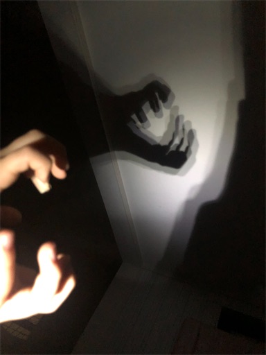 f:id:APwakuwakukosodate:20220126000300j:image f:id:APwakuwakukosodate:20220126000300j:image