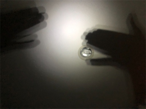 f:id:APwakuwakukosodate:20220126000302j:image f:id:APwakuwakukosodate:20220126000302j:image
