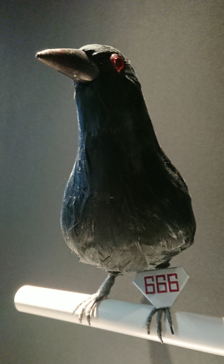 f:id:AQM:20190814125559j:plain f:id:AQM:20190814125559j:plain